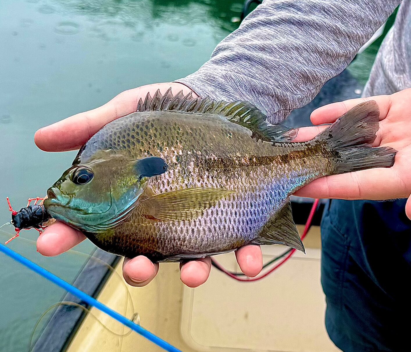 10 Essentials For Summer Fly Fishing